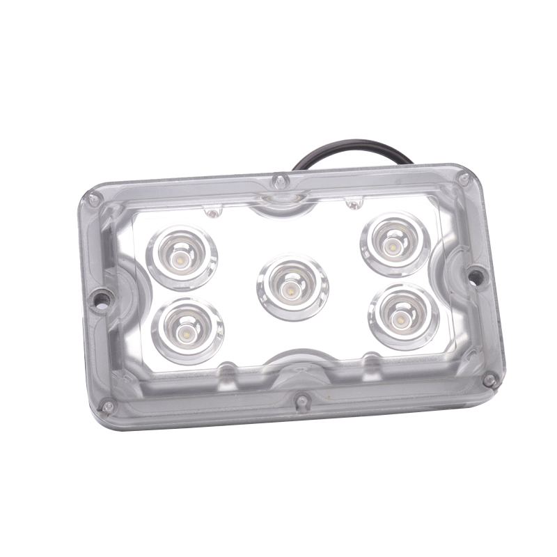 �̑B(t��i)��S�o(h��)픟�