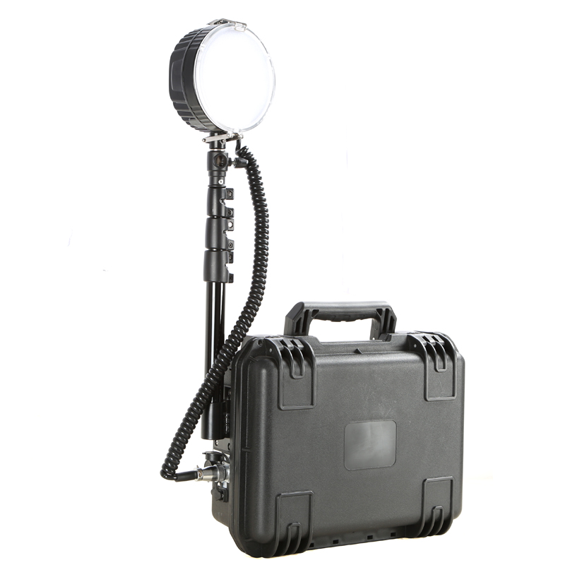 �F�����������O��