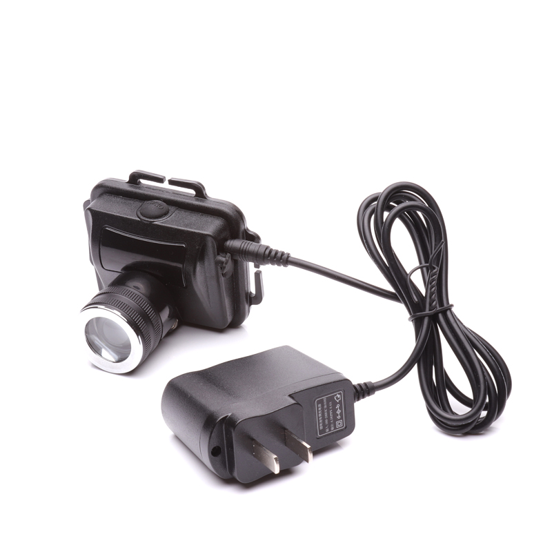 �̑B�����^�������{����