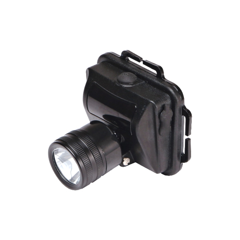 �̑B�����^���������{����