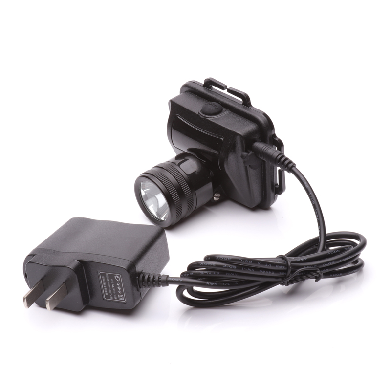 �̑B�����^���������{����